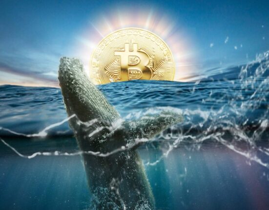bitcoin whale 1152x768 1