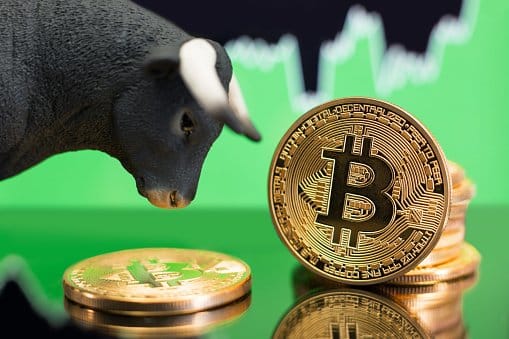 Bitcoin Whale Growth