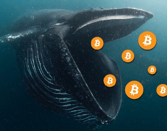 Bitcoin Whale Activity Hits All-Time High: What It Means for the Market