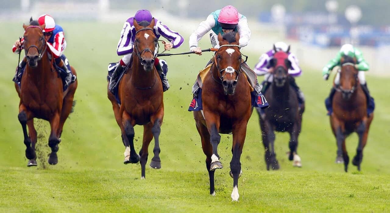 Phoenix Thoroughbreds Investigated for Alleged Money-Laundering Tied to OneCoin Scam