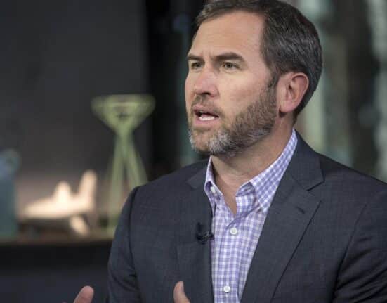 Ripple CEO Criticizes India’s Proposed Cryptocurrency Ban Amid Financial Inclusion Challenges