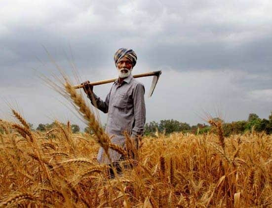 Indian Farmers Leverage Blockchain to Connect with UAE’s Food Industry