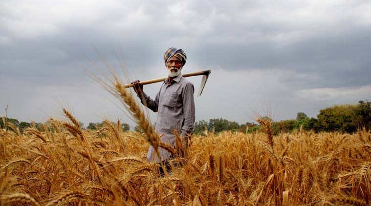 Indian Farmers Leverage Blockchain to Connect with UAE’s Food Industry Indian Farmers Leverage Blockchain to Connect with UAE’s Food Industry