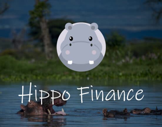 Hippo Finance Unveils Community-Governed DeFi Hedge Fund