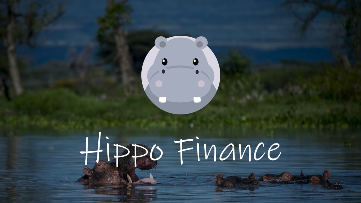 Hippo Finance Unveils Community-Governed DeFi Hedge Fund