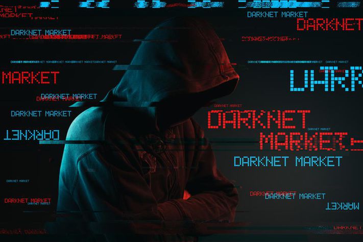 Europol and Finnish Customs Shut Down Darknet Marketplace Sipulimarket