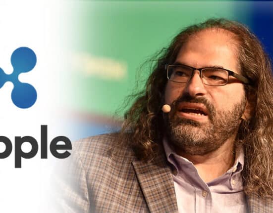 Ripple CTO: Community Can Decide to Burn XRP, Including Escrow Holdings