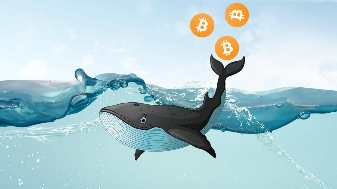 Bitcoin Whales Move $333 Million in BTC to Unknown Wallet Amid Market Volatility
