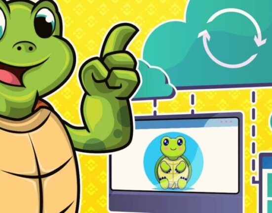 TurtleDEX rug pull exit scam highlights DeFi security concerns