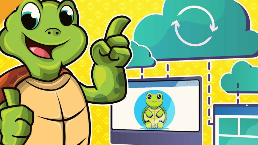 TurtleDEX rug pull exit scam highlights DeFi security concerns