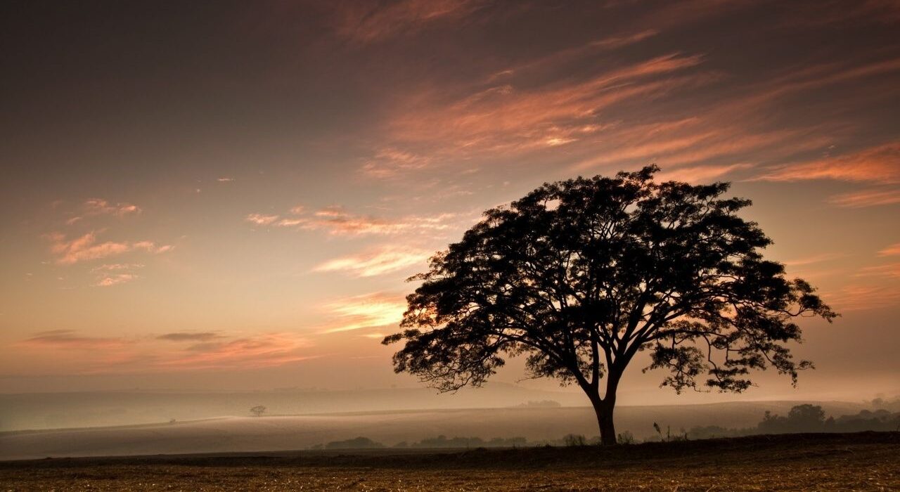WisdomTree Files for Bitcoin ETF Approval with U.S. SEC