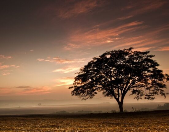 WisdomTree Files for Bitcoin ETF Approval with U.S. SEC