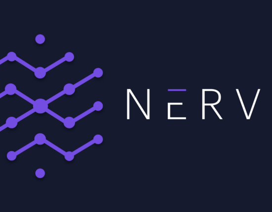 Nerve Finance Launches Multi-Chain Stableswap AMM on Binance Smart Chain and Solana to Enhance DeFi Accessibility