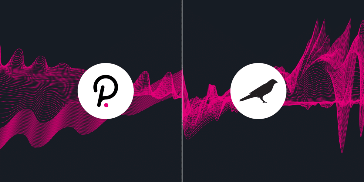 Polkadot's Kusuma Ready to Host Parachains as Mainnet Launch Enters Final Phase
