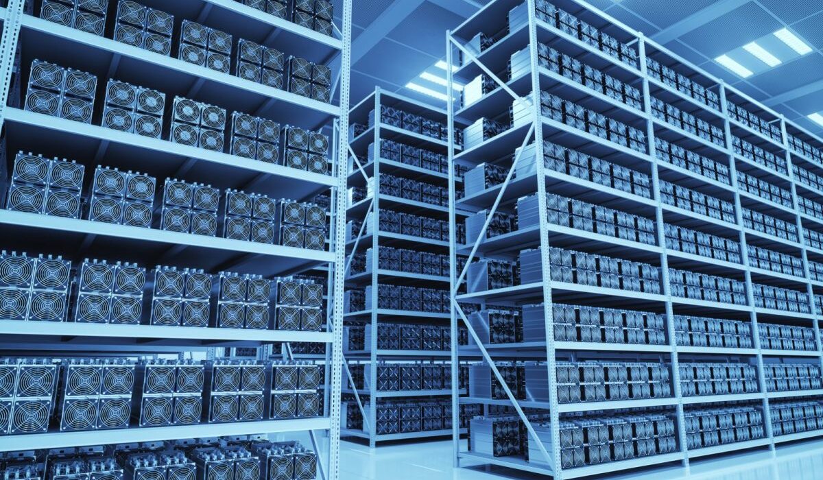 Bitcoin Network Activity Surges in August: Mining Revenues and Whale Activity Climb