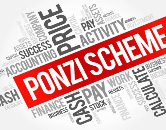 Europol Dismantles Vitae Ponzi Scheme, Recovers €2.5 Million