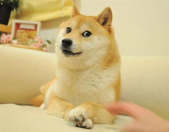 The original Doge NFT meme valued at 4 million was auctioned off in 17 billion pieces