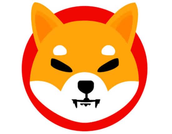 Shiba Inu coin