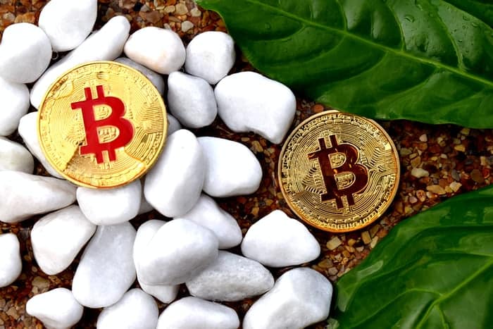 Market Capitalization