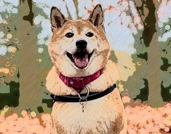 Inu