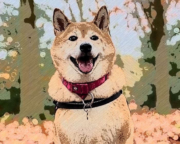 Inu