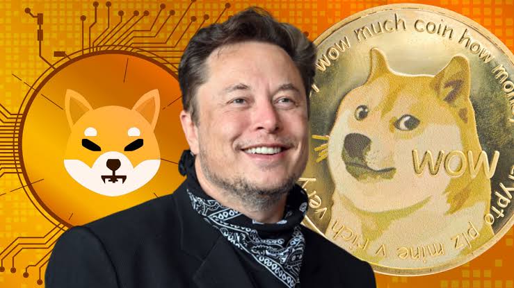 Elon