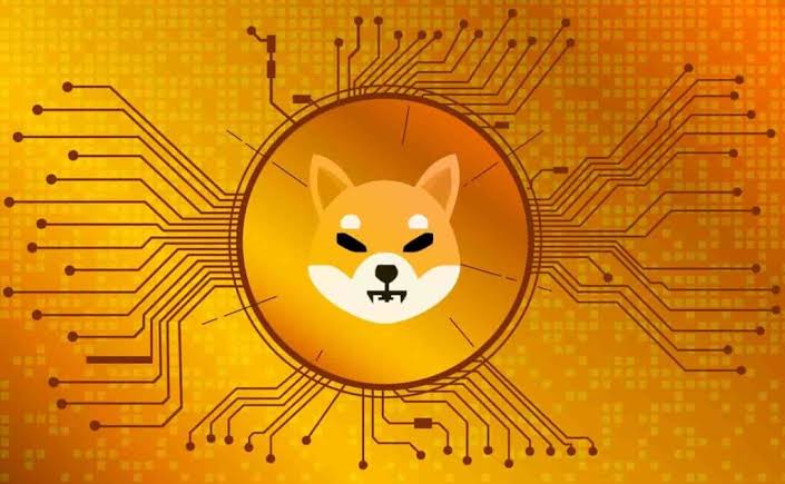 Shiba