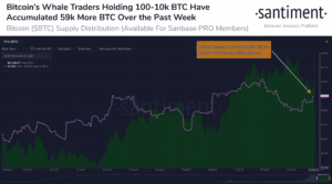 Bitcoin BTC Whale Accumulation