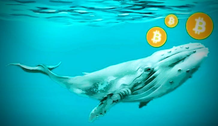 BTC