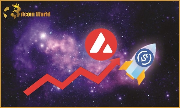 Avalanche AVAX Spikes 41 After Launching USD Coin USDC