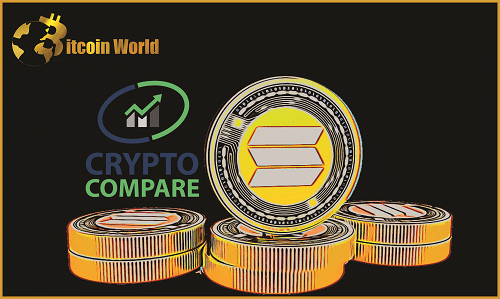 CryptoCompare Reports Solana SOL DeFi Grows While Ethereum Transaction Fees Records New Highs