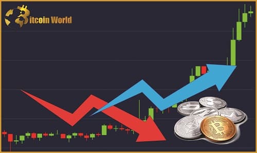 Cryptocurrency Market Cap Bounces After Sharp Fall