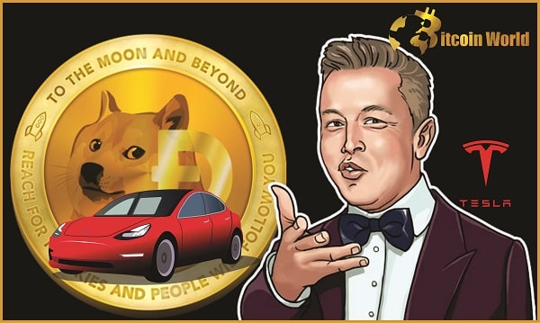 Dogecoin Whale Transactions Spikes 148 After Tesla DOGE Payments Announcemen