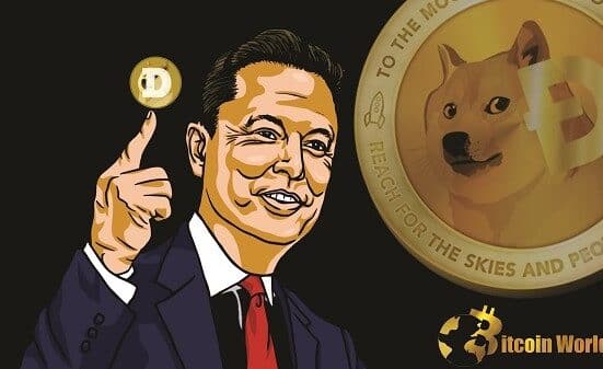 Elon Musk Supports Dogecoin Says Its More Suitable For Transactions Than Bitcoin2