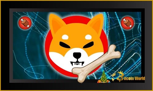 Shiba