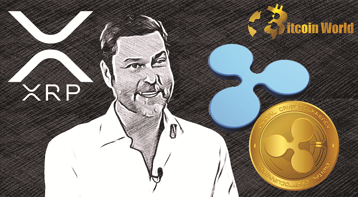 Raoul Pal Macro Guru Has XRP Describes It As Phenomenal Risk Reward