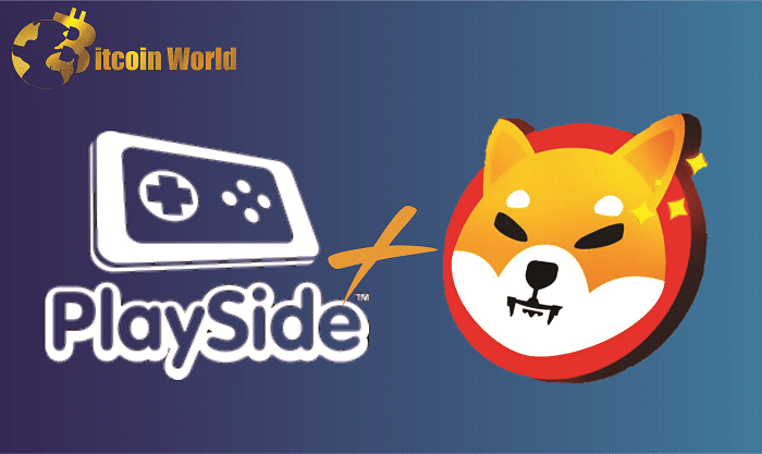 PlaySide
