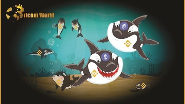 WhaleStats – Top Two Ethereum Competitors Among The Largest Binance Smart Chain Whales2