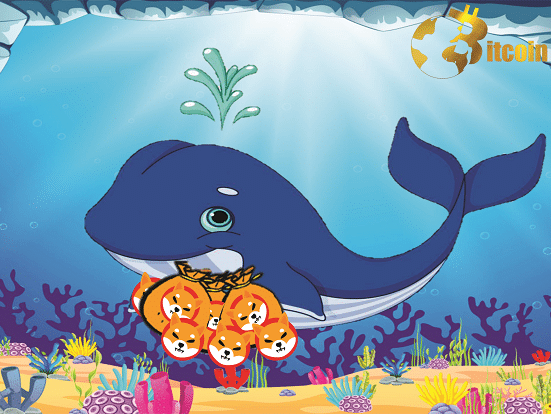 WhaleStats