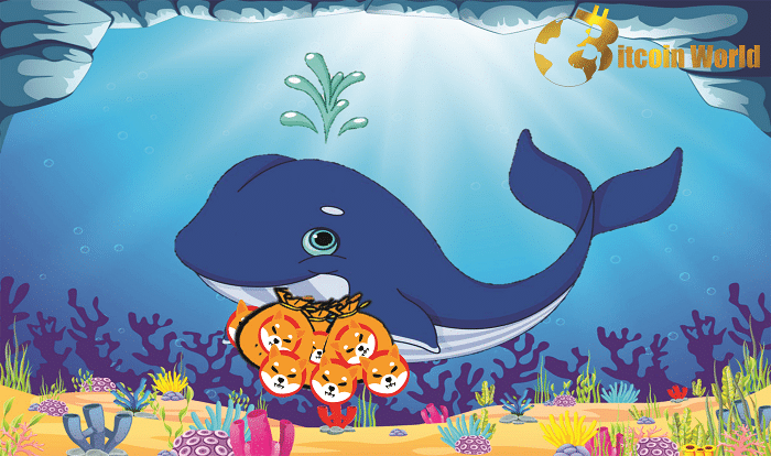 WhaleStats