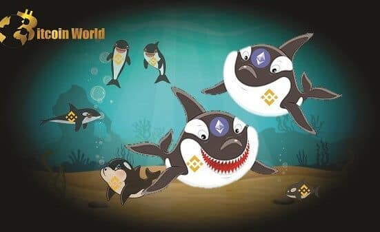 WhaleStats – Top Two Ethereum Competitors Among The Largest Binance Smart Chain Whales2