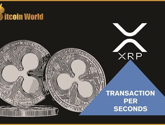XRP Transactions and Account Creations Surges In November Despite Price Declines