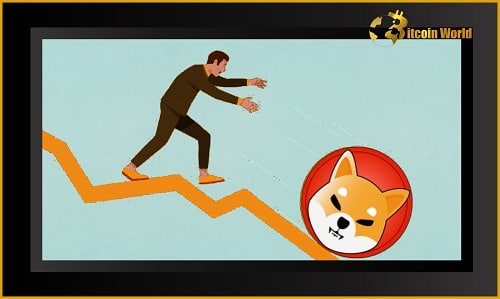 Shiba