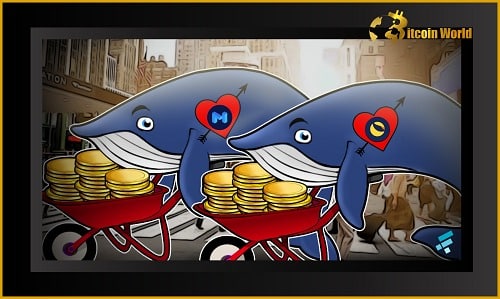 Whales