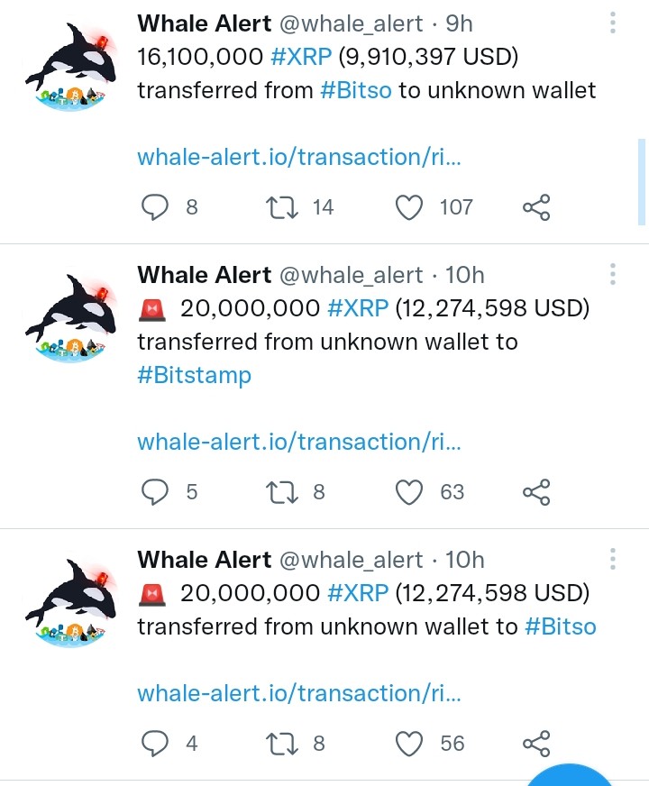 Breaking XRP News: Crypto Unicorn Bitso Moves 36 Million XRP - What Does It Mean for Ripple? Whale Alert Tweet about XRP Transaction