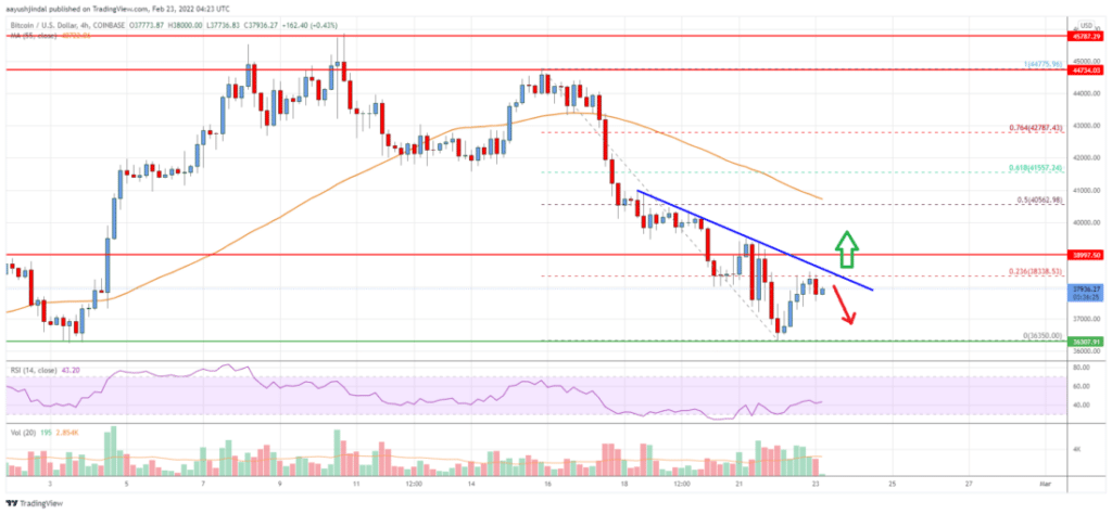 Bitcoin Price Plummets Below $40,000: Will BTC Rebound or Face Further Decline? - Expert Analysis Bitcoin Price Chart Analysis