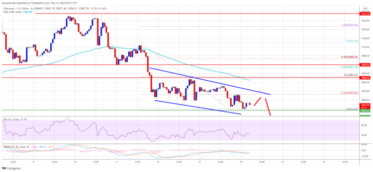 Ethereum Price Analysis: ETH Dips Below $3000 - Is Further Decline Inevitable? Ethereum Price Chart