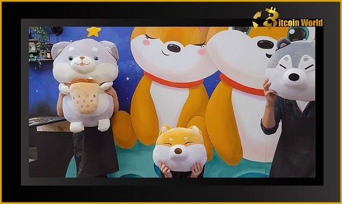 Shiba