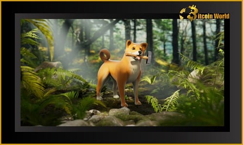 Shiba