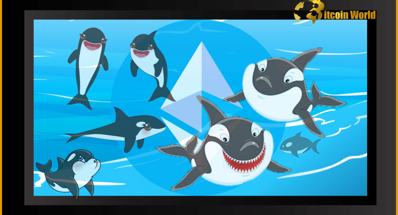 Why Are Ethereum Whales Accumulating Shiba Inu Aggressively